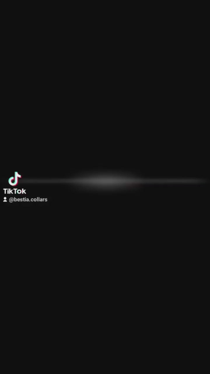 The ''D`Albertis'' leash