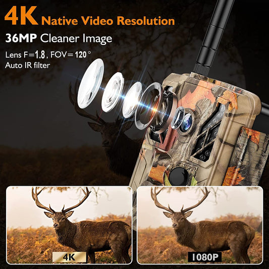 4K 36MP WiFi Infrared Camera for Outdoor Animal Monitoring