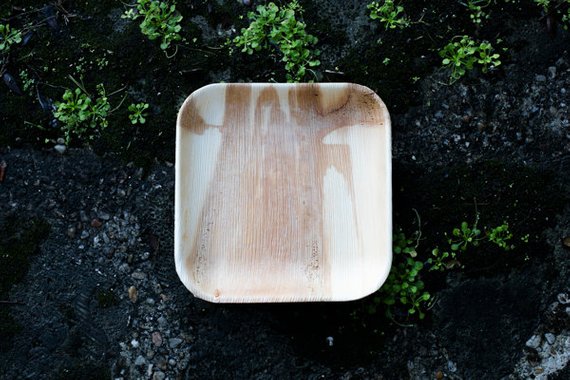 Palm Leaf Square Plates 6" Inch (Set of 100/50/25)