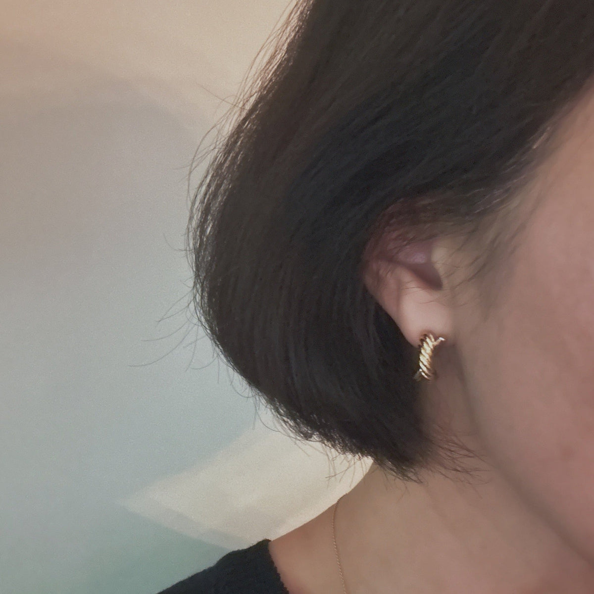 Lean On Two Tone Earrings