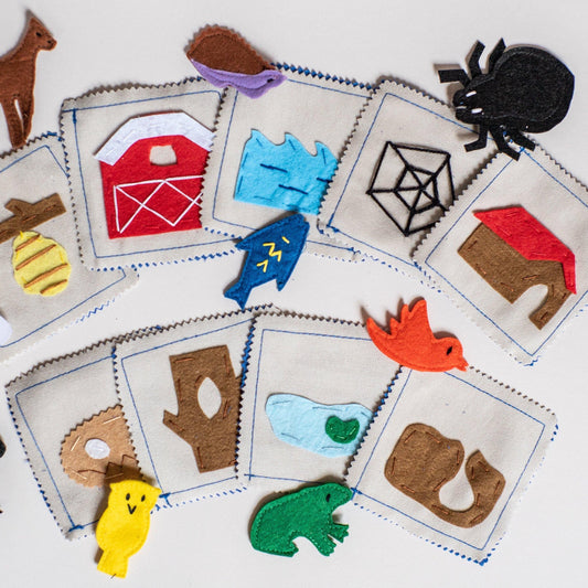 Animal Habitat Matching Game