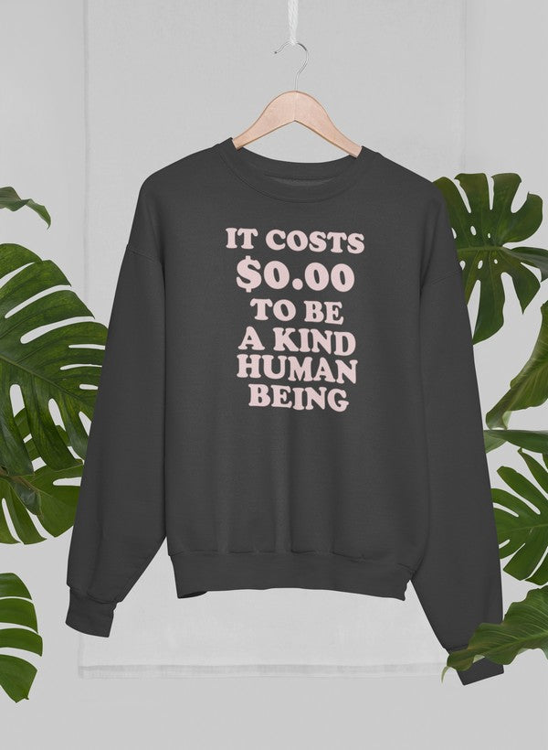 It Costs $0.00 To Be A Kind Human Being Sweat Shirt