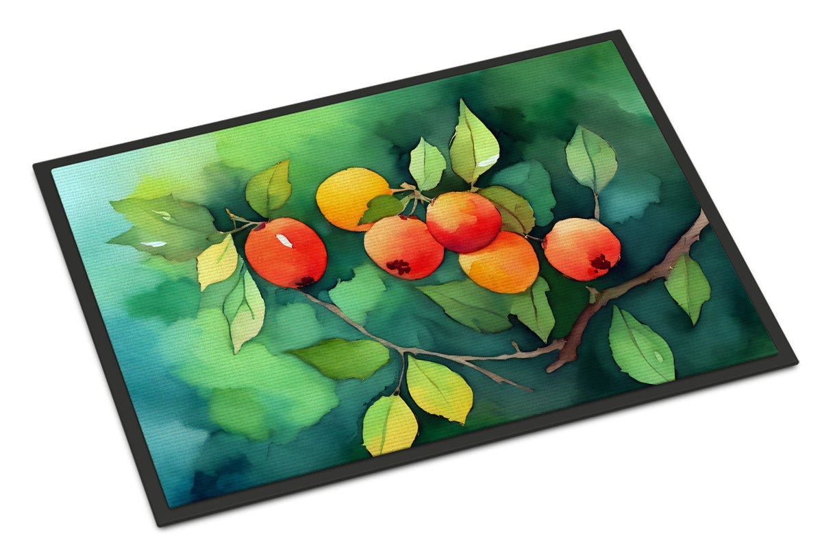 Missouri Hawthorns in Watercolor Doormat