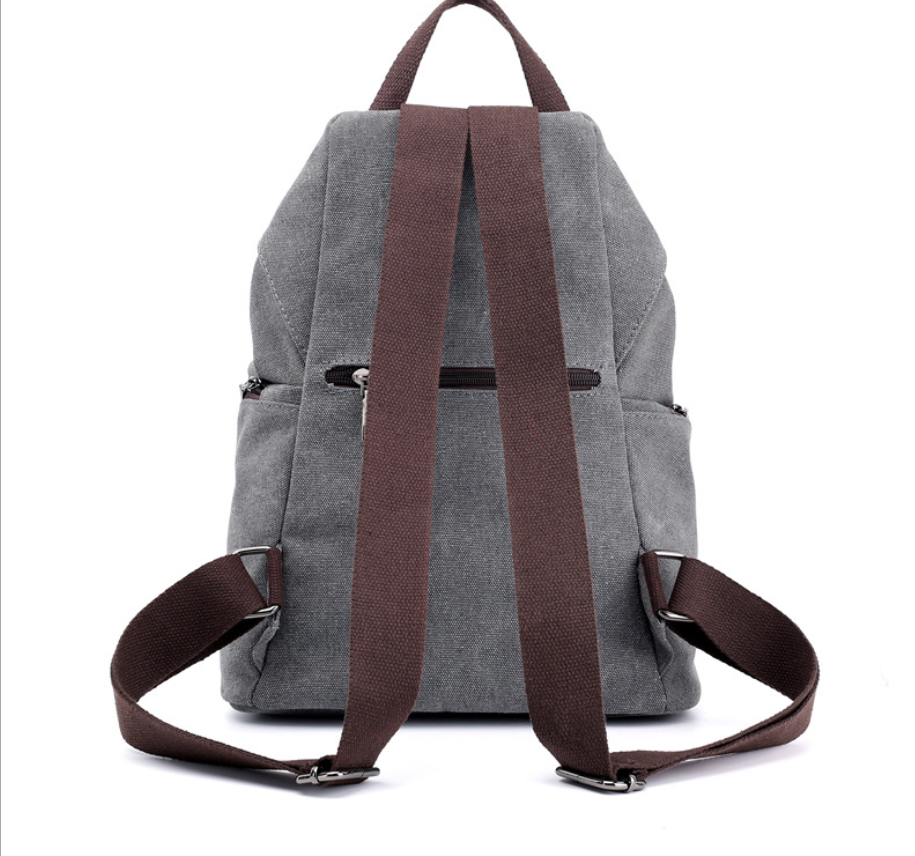 College Style Canvas Backpack and Tote Bag