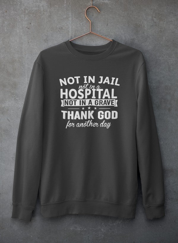 Not In Jail Not In A Hospital Not In A Grave Sweat Shirt