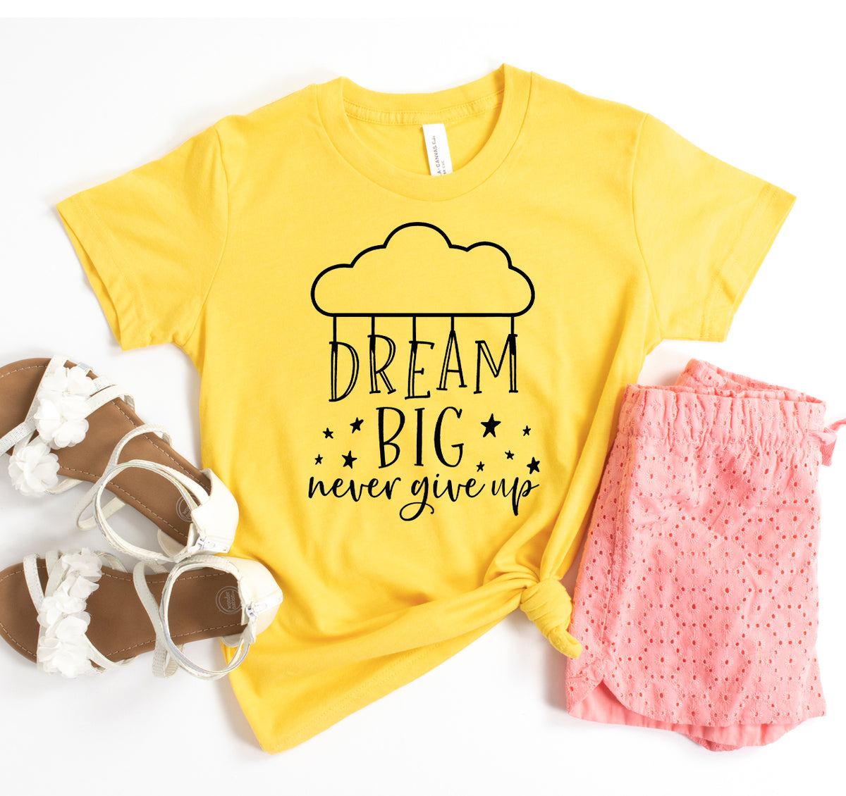 Dream Big Never Give Up T-shirt