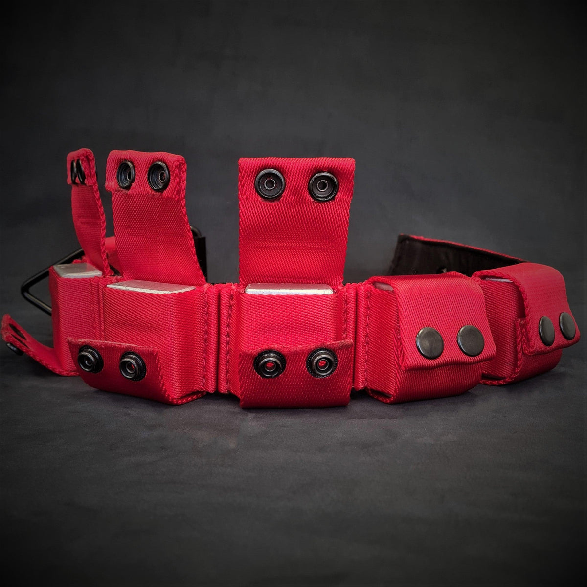 Weighted dog training collar- Red. Large breeds. 5 lbs total. removable weights